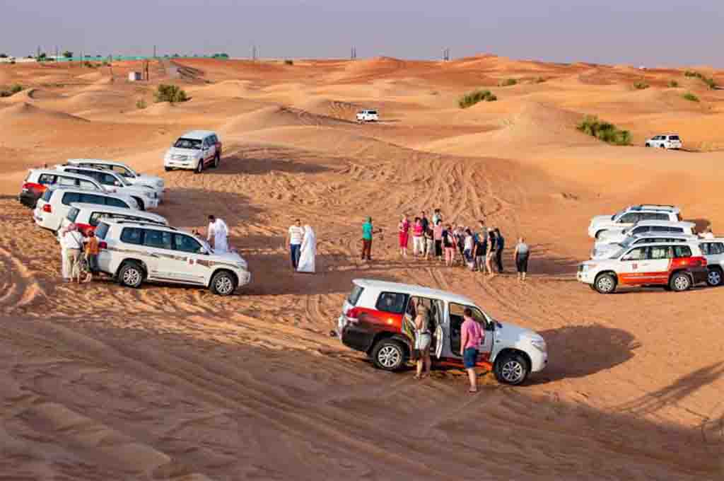 Tours & Excursions
