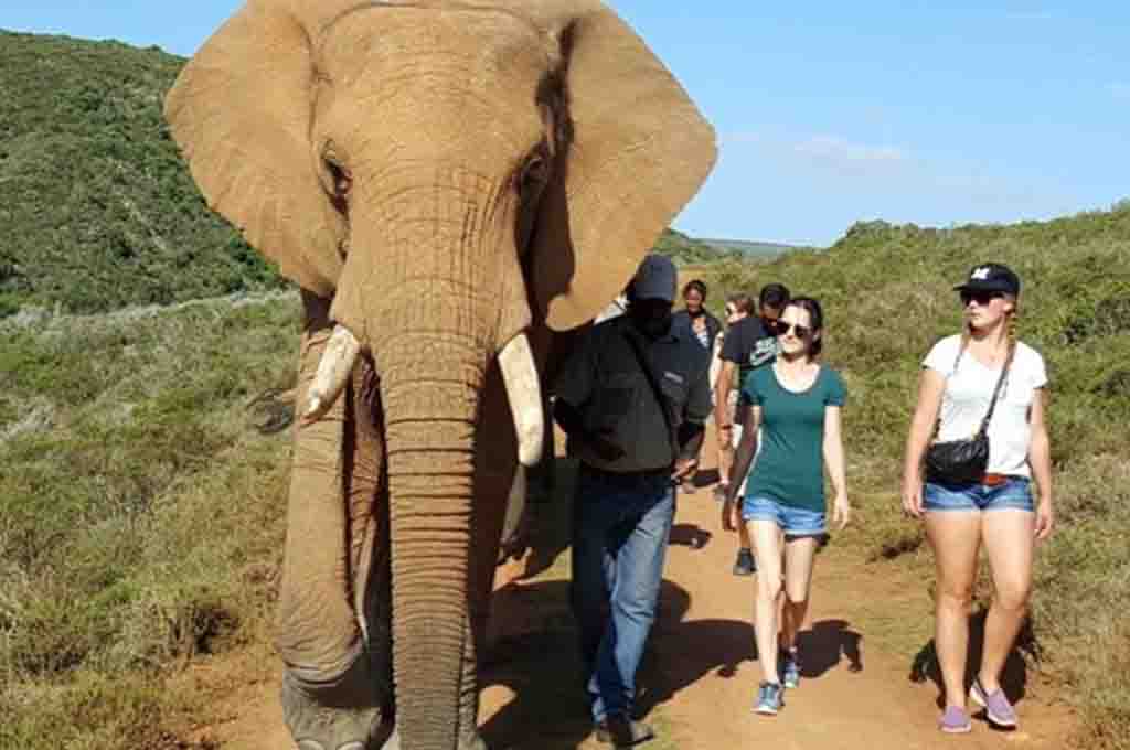 Tours & Excursions